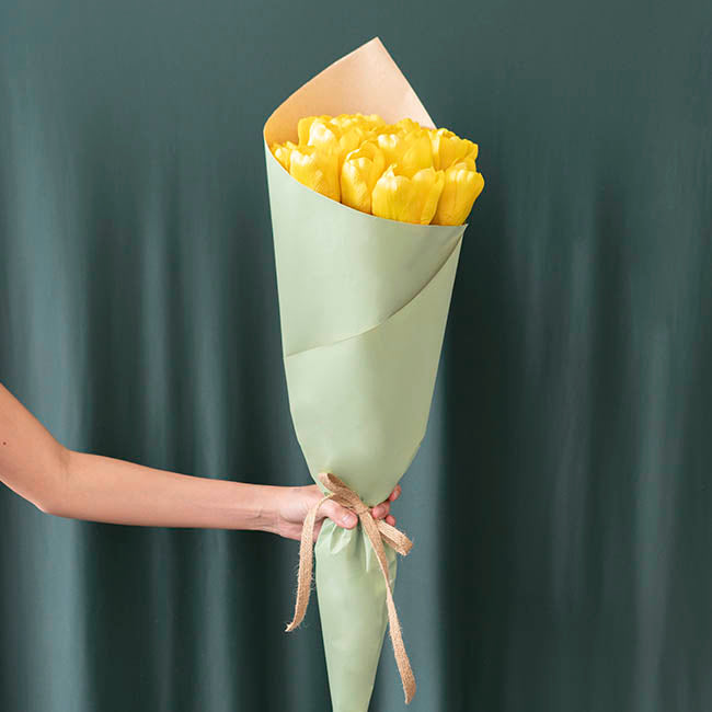 Kraft Paper Duo 80gsm Sage Green & Brown Pack 100