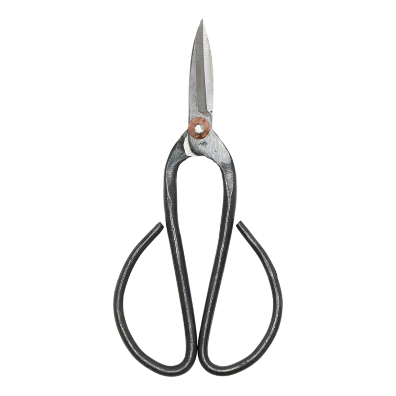 Large bonsai shears set of 2, 12 x 19cm, designed for precision trimming and comfort in bonsai gardening.