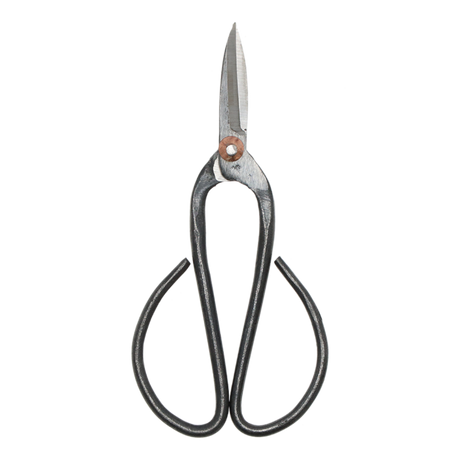 Large bonsai shears set of 2, 12 x 19cm, designed for precision trimming and comfort in bonsai gardening.