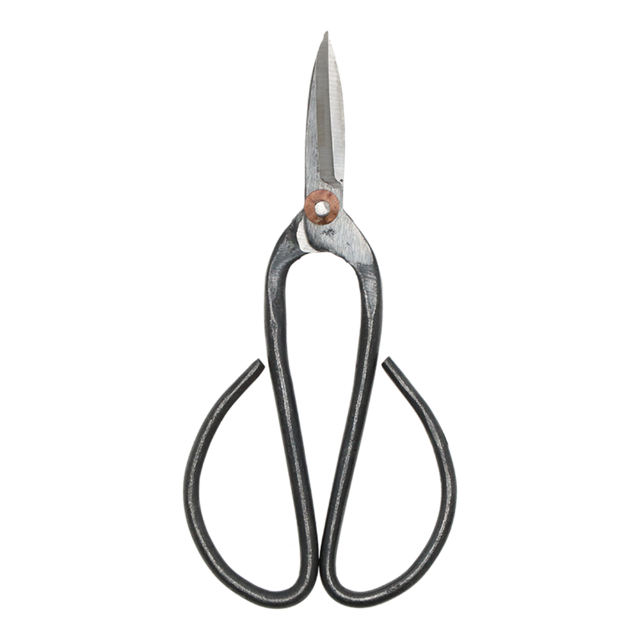 Large bonsai shears set of 2, 12 x 19cm, designed for precision trimming and comfort in bonsai gardening.