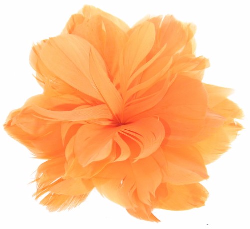 Fascinator - Feather Flower - Smartfox