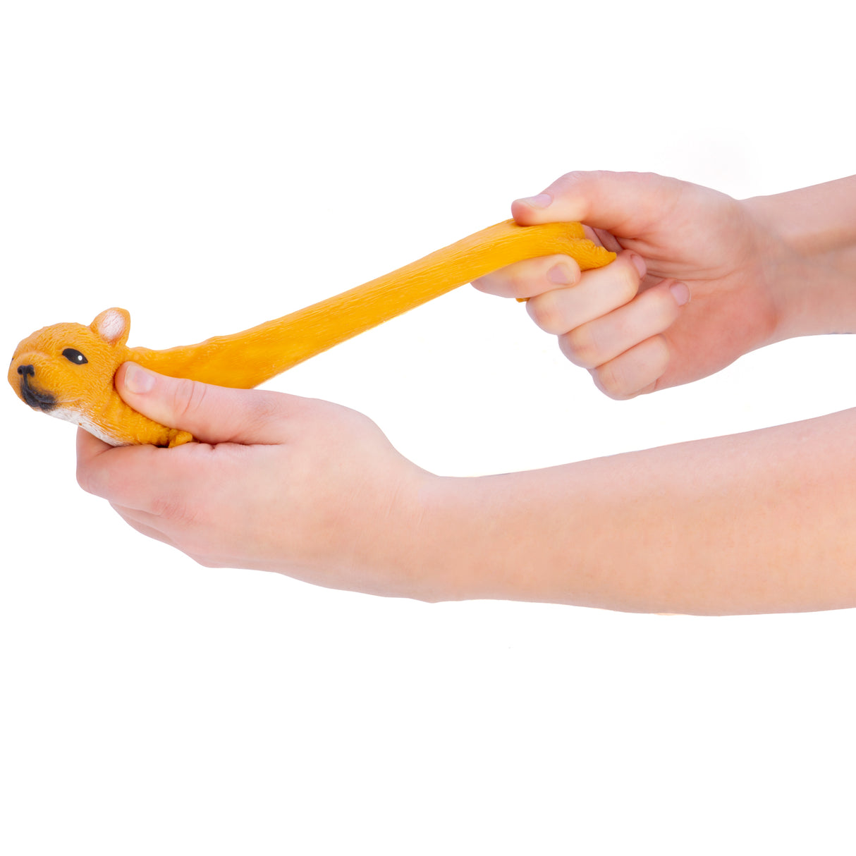 Furever Pets French Bulldog Stretch Toy - Set of 12