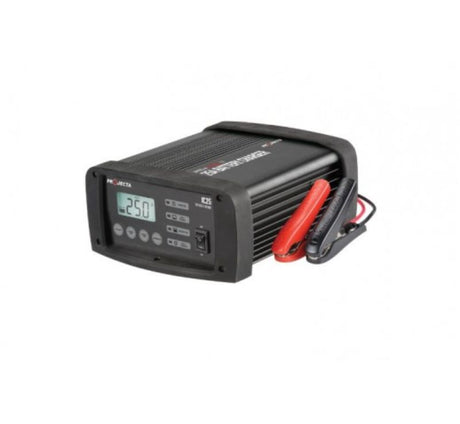 12V 25A Multichem lithium battery charger with 7-stage tech, rubber caps, and 3-year warranty for durable workshop use.