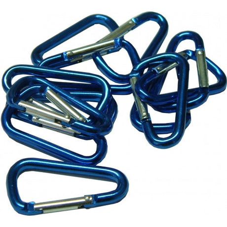 Lightweight aluminium karabiner (50 x 5mm) with spring-loaded closure, perfect for lanyards, bags, and outdoor activities.