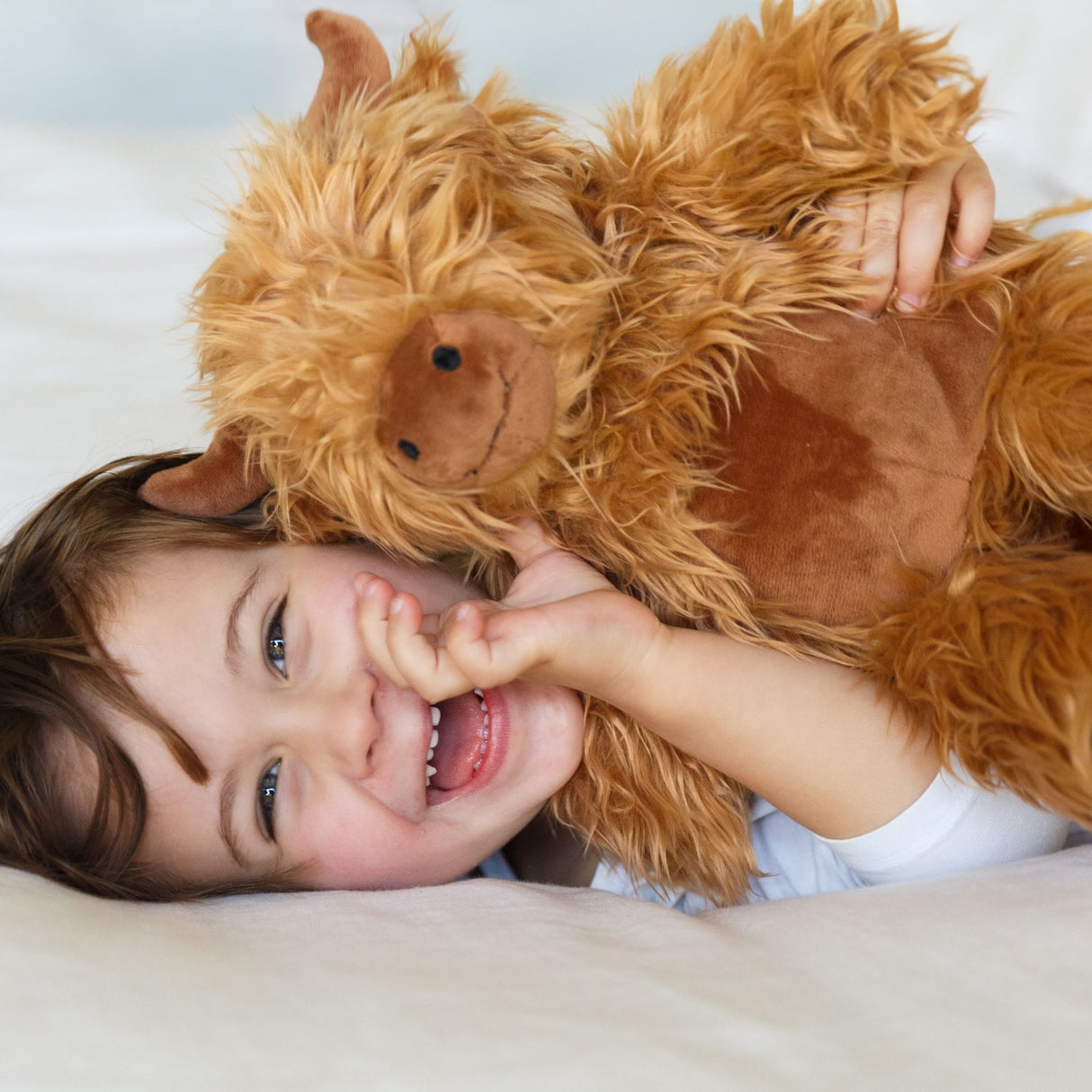 Moana Road - Soft Toy - Hamish The Highland Cow (Large)