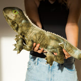 Moana Road - Soft Toy - Trevor the Tuatara (Medium)