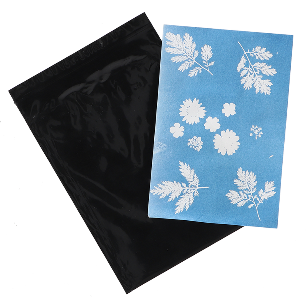 A4 solar photo paper set of 6 for vibrant, eco-friendly prints using sunlight in alternative photography projects.