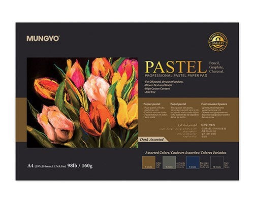 Mungyo Pastel Pad 160gsm Dark 20 Sheets A3