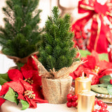 Real Touch Mini Table Top Tree Green