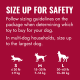 Dog Toy - KONG Goodie Ribbon (Medium)