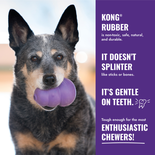 Dog Toy - KONG Senior (Medium)