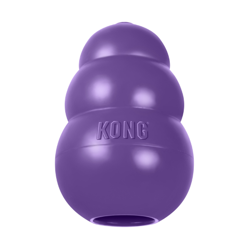 Dog Toy - KONG Senior (Large)