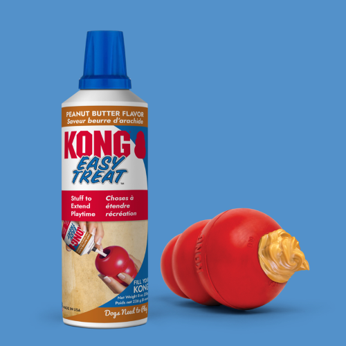Dog Treat - KONG Easy Treat (Peanut Butter)