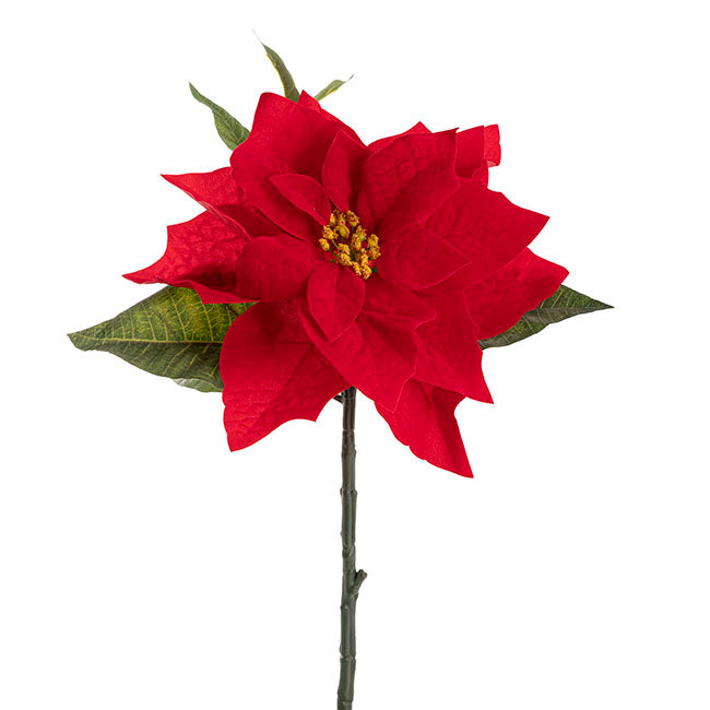 Poinsettia Short Stem Red