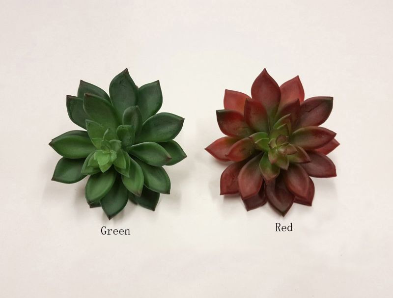 Diamond Floral Succulent (Green / Red)