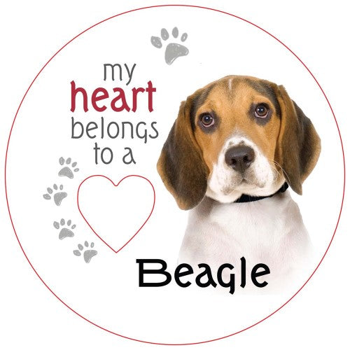 Beagle Piece of My Heart Magnet  (Set of 2)