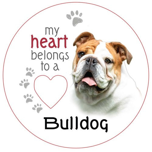 Bulldog Piece of My Heart Magnet  (Set of 2)