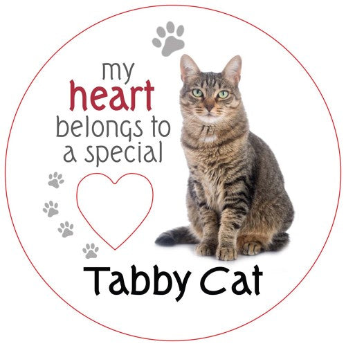 Tabby Cat Piece of My Heart Magnet  (Set of 2)