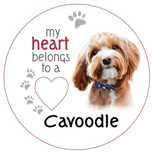 Cavoodle Piece of My Heart Magnet  (Set of 2)