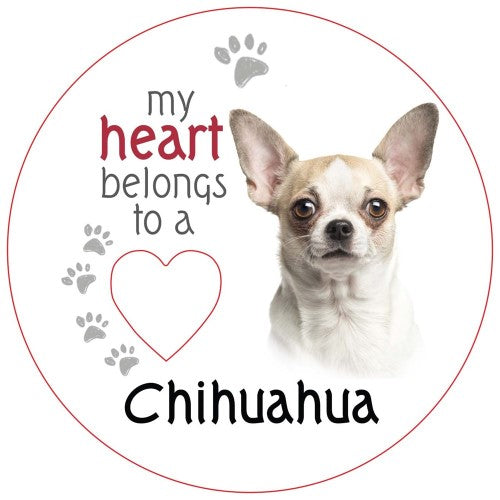 Chihuahua (Short Haired) Piece of My Heart Magnet  (Set of 2)