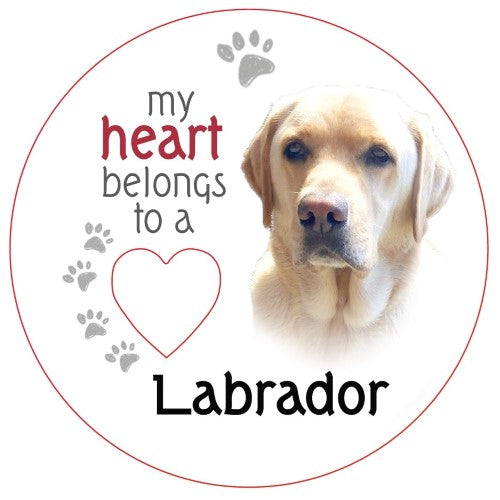 Golden Labrador Piece of My Heart Magnet  (Set of 2)