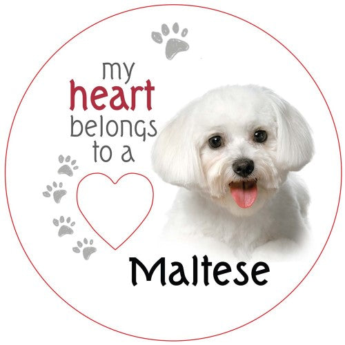 Maltese Piece of My Heart Magnet  (Set of 2)