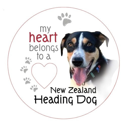 New Zealand Heading Dog Piece of My Heart Magnet  (Set of 2)