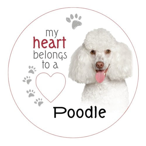 White Poodle Piece of My Heart Magnet  (Set of 2)