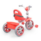 Kids Royel DX Trike With Light Music & Rear Basket FT-600 Pink