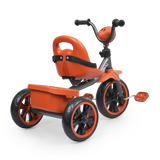 Kids Royel DX Trike With Light Music & Rear Basket FT-600 Brown