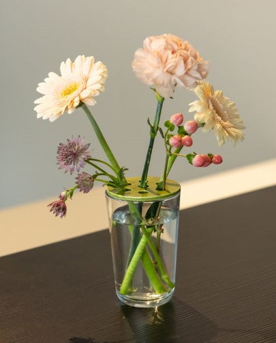 Flower Arranging Disc - Small Green (Set of 12)