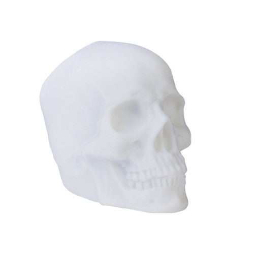 Speaker - Skull