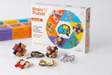 RECENT TOYS BRAIN PUZZLE (SET OF 6)