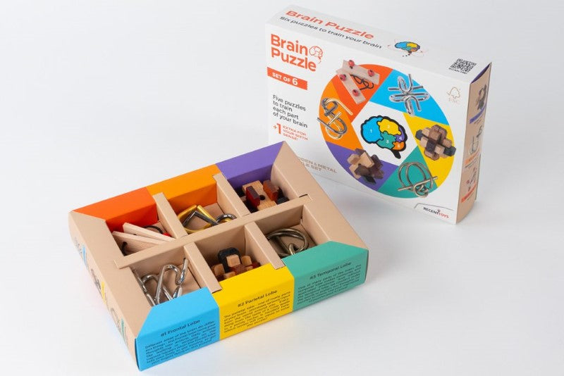 RECENT TOYS BRAIN PUZZLE (SET OF 6)