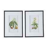 Botanical & Bird Wall Arts Set of 2