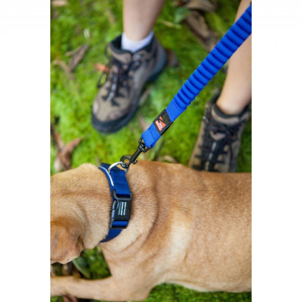 Dog Lead - Ezy Dog Zero Shock Leash - 120cm - Blue