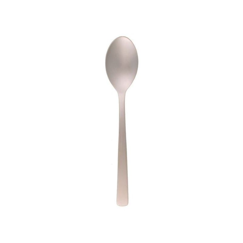 DESSERT SPOON - COAST (Set of 12)