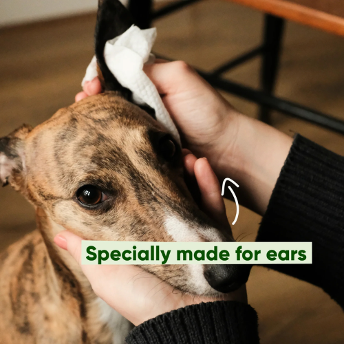 Ear Wipes - Beco Coconut Scented (70pk)