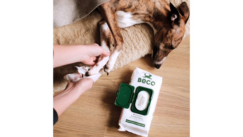 Coconut-scented gentle wipes for dogs, infused with shea butter and aloe vera, perfect for cleaning muddy paws and coats.