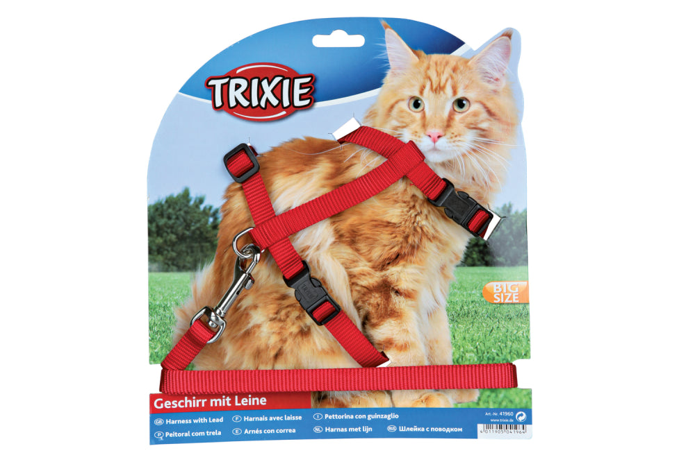 Adjustable nylon cat harness and lead set for large cats, featuring snap buckles and varying colors.