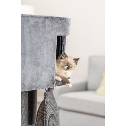 Cat Tree - Active w/Climbing Ramp 122cm (Grey)