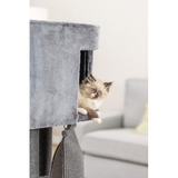 Cat Tree - Active w/Climbing Ramp 122cm (Grey)