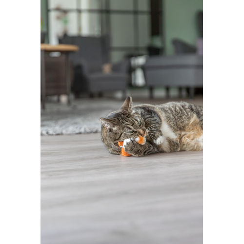 Cat Toy - Catnip Stripey Worm 20cm (Assorted)