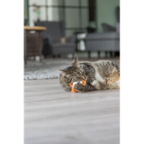 Cat Toy - Catnip Stripey Worm 20cm (Assorted)