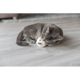 Cat Toy - Catnip Bear Ball 8cm (Assorted)