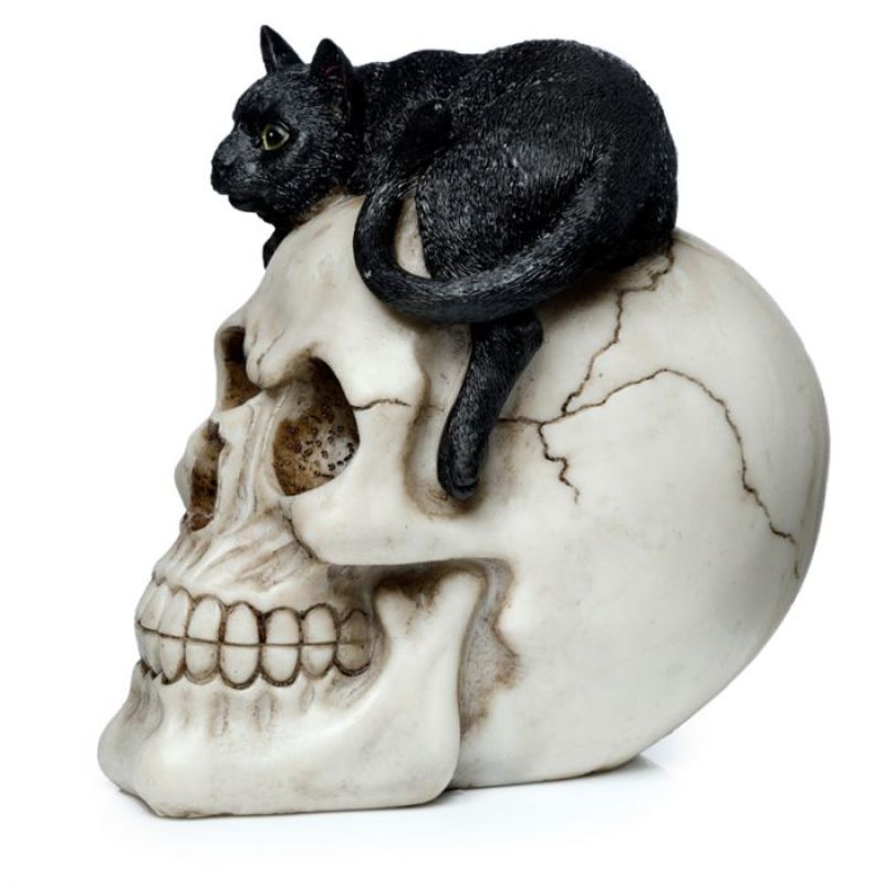 Skull with black cat ornament, 15cm tall, featuring intricate details for gothic home decor and Halloween themes.