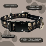 Dog Collar - Alchemy No Evil Small (25-40cm)