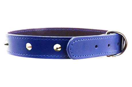 Blue studded leather dog collar with bevelled edges, chrome hardware, and 8 studs, measuring 15mm x 40cm.