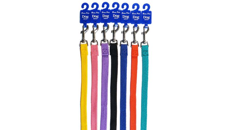 Double Nylon Webbing Lead 20mmx180cm - Gold