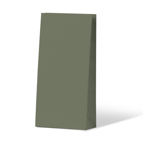 Paper Bags - Earth Green Coloured Gift Paper Bag - 500/ctn